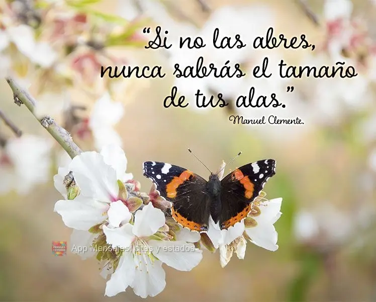 "Si no las abres, nunca sabrás el tamaño de tus alas". Manuel Clemente.
