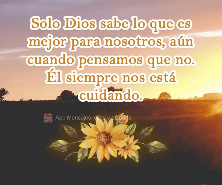 Solo Dios sabe lo que es mejor para nosotros, aún cuando pensamos que no. Él siempre nos está cuidando.
