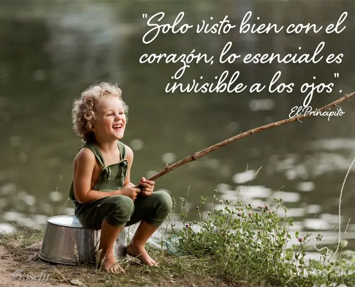 "Solo visto bien con el corazón, lo esencial es invisible a los ojos". El Principito