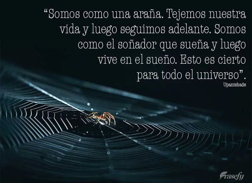 “Somos como una araña. Tejemos nuestra vida y luego seguimos adelante. Somos como el soñador que sueña y luego vive en el sueño. Esto es cierto par...