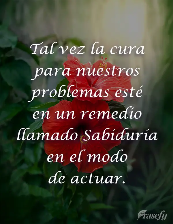 Tal vez la cura para nuestros problemas esté en un remedio llamado Sabiduría en el modo de actuar.