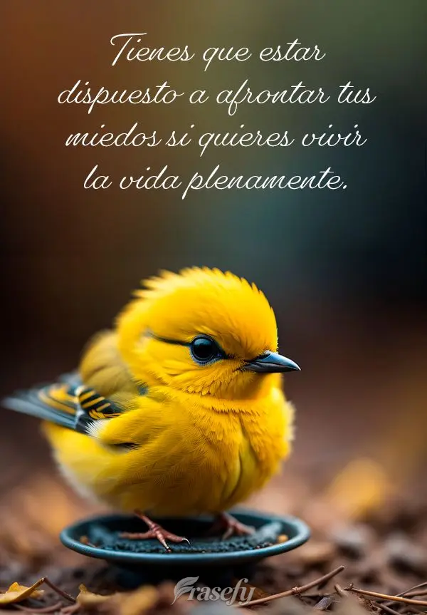 Tienes que estar dispuesto a afrontar tus miedos si quieres vivir la vida plenamente.