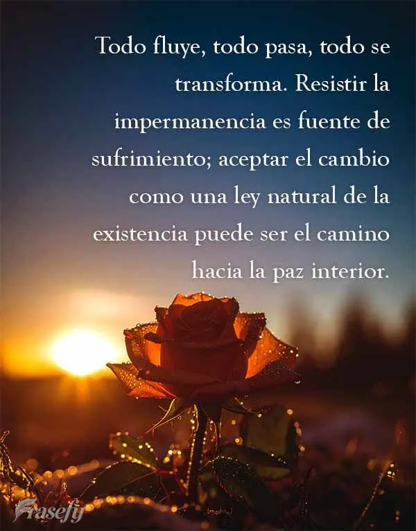 Todo fluye, todo pasa, todo se transforma. Resistir la impermanencia es fuente de sufrimiento; aceptar el cambio como una ley natural de la existencia pu...