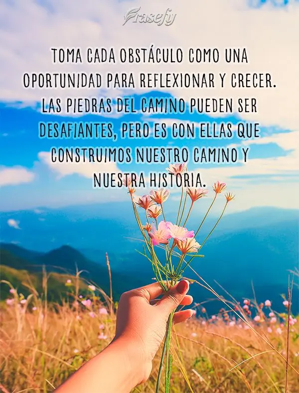Toma cada obstáculo como una oportunidad para reflexionar y crecer. Las piedras del camino pueden ser desafiantes, pero es con ellas que construimos nue...