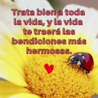 Trata bien a toda la vida, y la vida te traerá las bendiciones más hermosas.