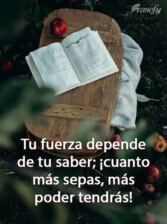 Tu fuerza depende de tu saber; ¡cuanto más sepas, más poder tendrás!