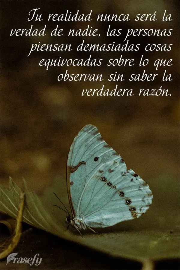 Tu realidad nunca será la verdad de nadie, las personas piensan demasiadas cosas equivocadas sobre lo que observan sin saber la verdadera razón.