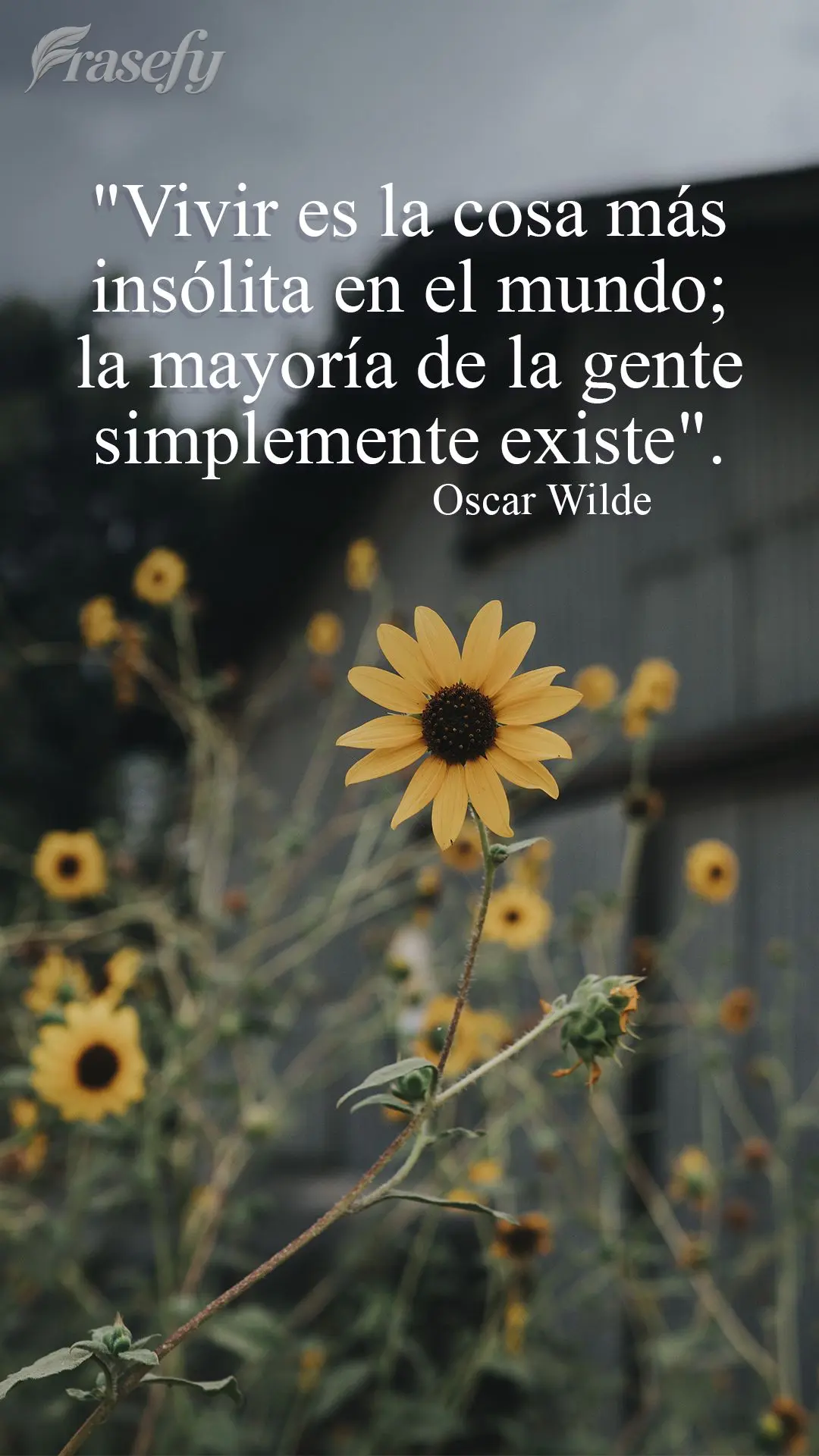 "Vivir es la cosa más insólita en el mundo; la mayoría de la gente simplemente existe". Oscar Wilde