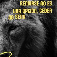 Rendirse no es una opción, ceder no será la solución, ¡pero dar lo mejor de ti siempre será tu mayor motivación!