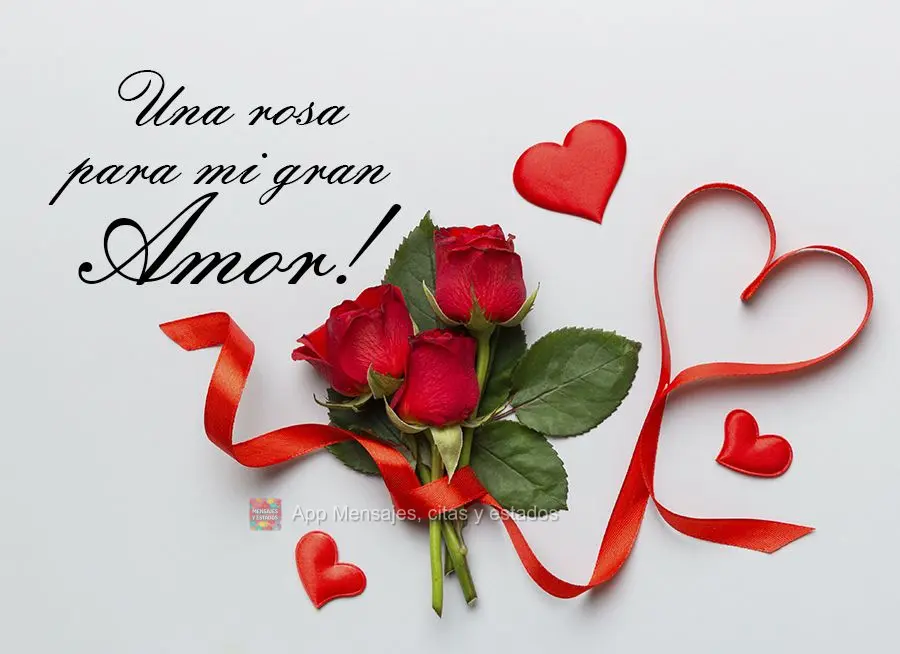 Una rosa para mi gran amor!