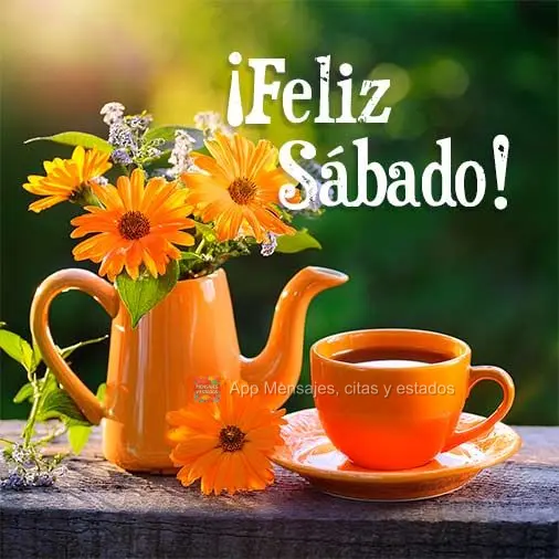 ¡Feliz Sábado!