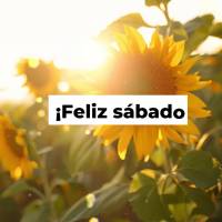 ¡Feliz sábado!