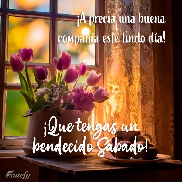 ¡A precia una buena compañía este lindo día! ¡Que tengas un bendecido Sábado!