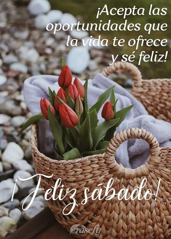 ¡Acepta las oportunidades que la vida te ofrece y sé feliz! ¡Feliz sábado!