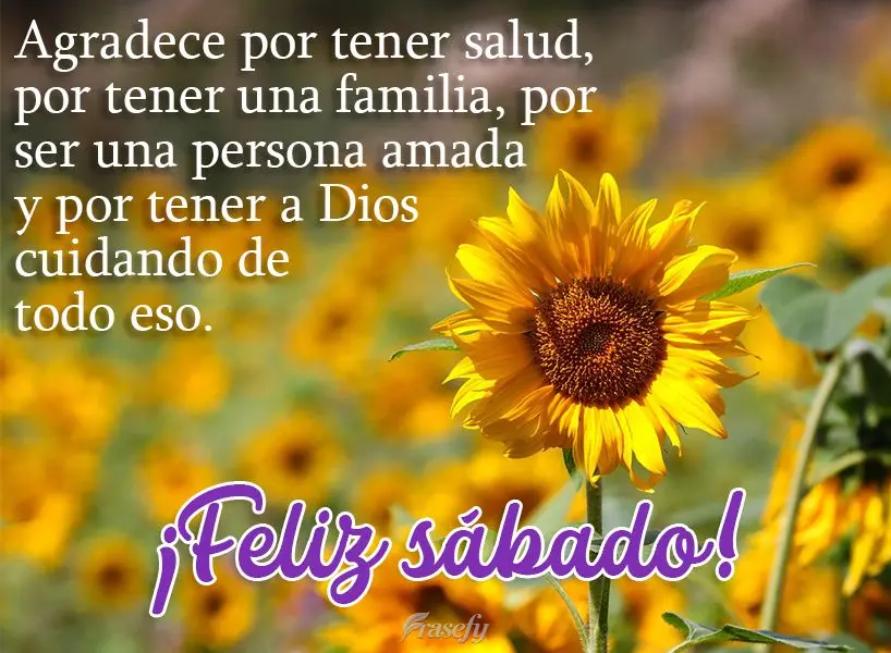Agradece por tener salud, por tener una familia, por ser una persona amada y por tener a Dios cuidando de todo eso. ¡Feliz sábado!