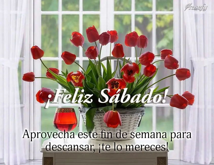 Aprovecha este fin de semana para descansar, ¡te lo mereces! ¡Feliz Sábado!
