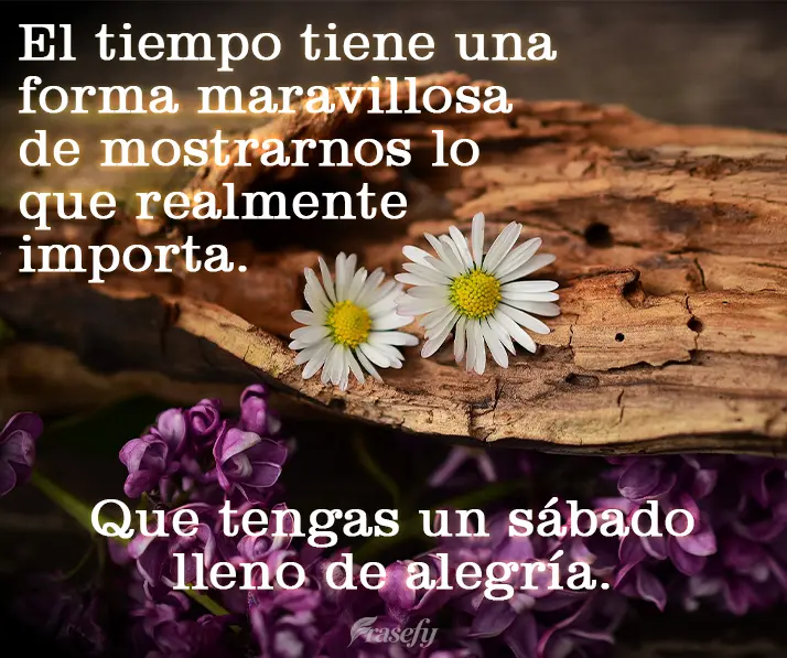El tiempo tiene una forma maravillosa de mostrarnos lo que realmente importa. Que tengas un sábado lleno de alegría.