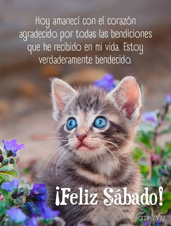 Hoy amanecí con el corazón agradecido por todas las bendiciones que he recibido en mi vida. Estoy verdaderamente bendecido. ¡Feliz sábado!