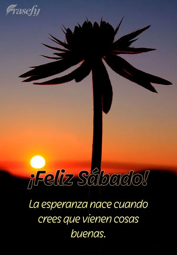 La esperanza nace cuando crees que vienen cosas buenas. ¡Feliz Sábado!