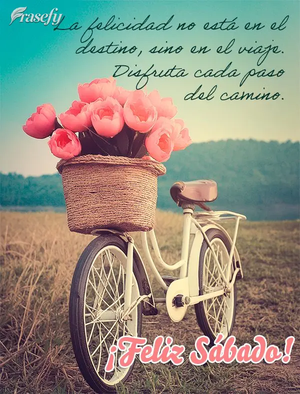 La felicidad no está en el destino, sino en el viaje. Disfruta cada paso del camino. ¡Feliz Sábado!
