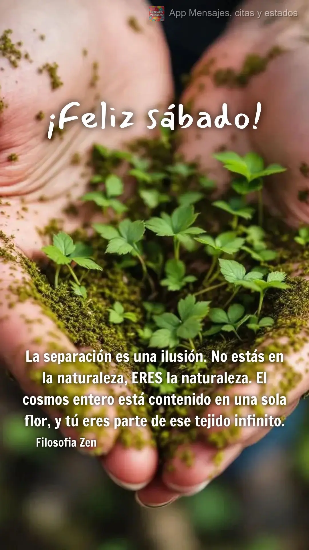 La separación es una ilusión. No estás en la naturaleza, ERES la naturaleza. El cosmos entero está contenido en una sola flor, y tú eres parte de es...