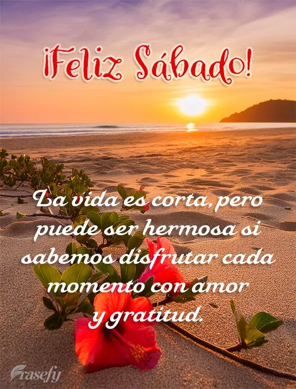 La vida es corta, pero puede ser hermosa si sabemos disfrutar cada momento con amor y gratitud. ¡Feliz Sábado!