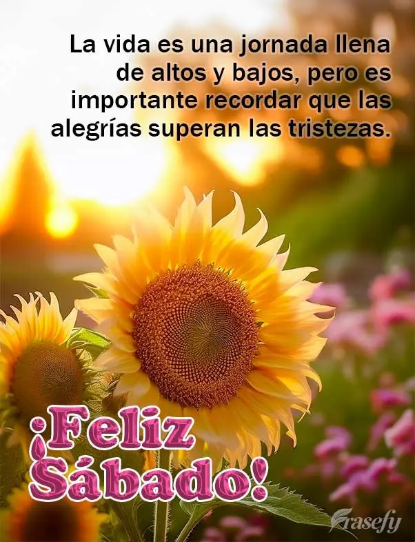La vida es una jornada llena de altos y bajos, pero es importante recordar que las alegrías superan las tristezas. ¡Feliz Sábado!