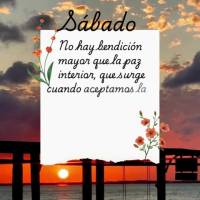 No hay bendición mayor que la paz interior, que surge cuando aceptamos la vida como ella es y encontramos la serenidad en medio del caos. Sábado