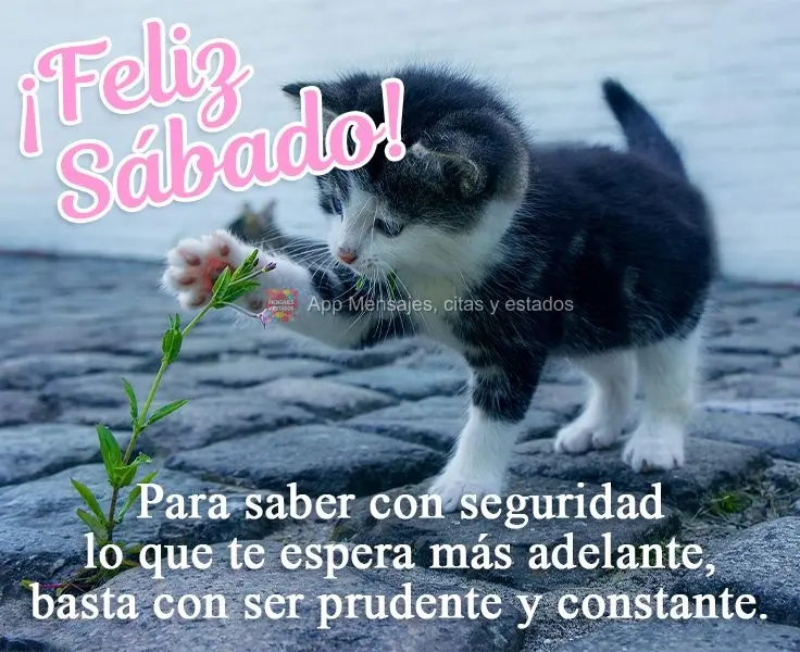 Para saber con seguridad lo que te espera más adelante, basta con ser prudente y constante. ¡Feliz sábado!