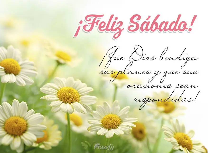 ¡Que Dios bendiga sus planes y que sus oraciones sean respondidas! Feliz Sábado!