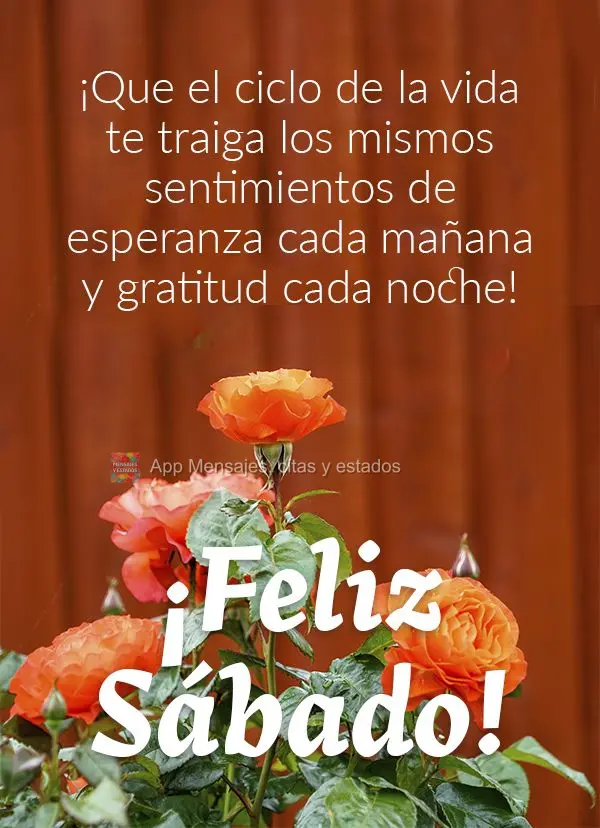 ¡Que el ciclo de la vida te traiga los mismos sentimientos de esperanza cada mañana y gratitud cada noche! ¡Feliz Sábado!