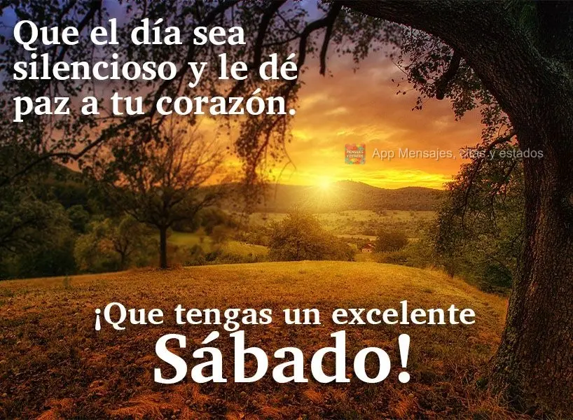 Que el día sea silencioso y le dé paz a tu corazón. ¡Que tengas un excelente sábado!