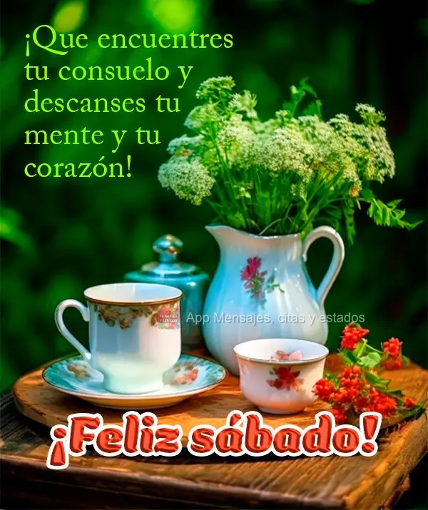 ¡Que encuentres tu consuelo y descanses tu mente y tu corazón! ¡Feliz sábado!