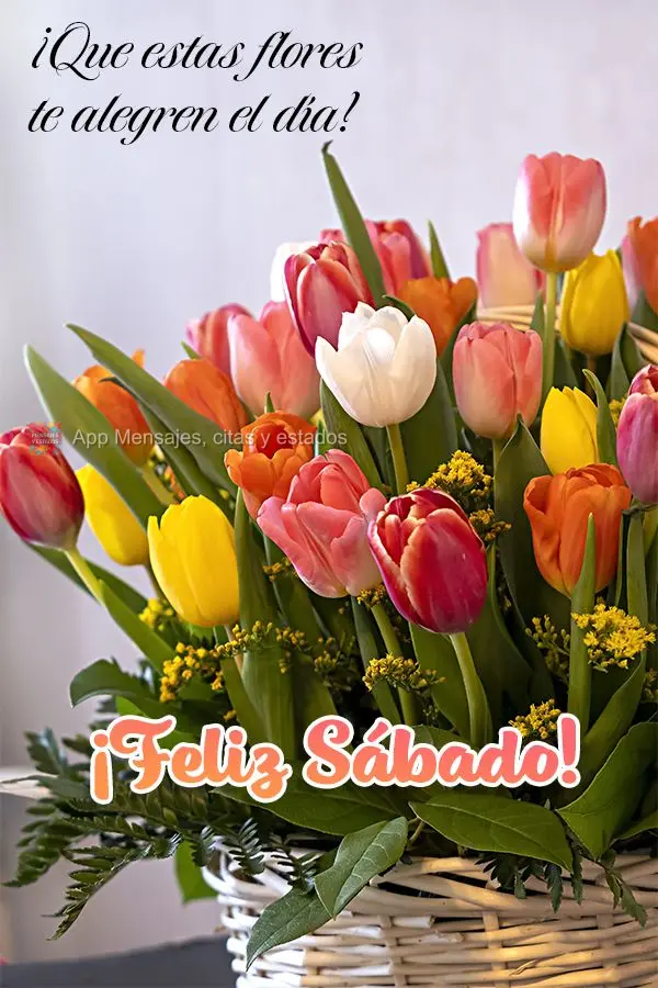 ¡Que estas flores te alegren el día! ¡Feliz Sábado!