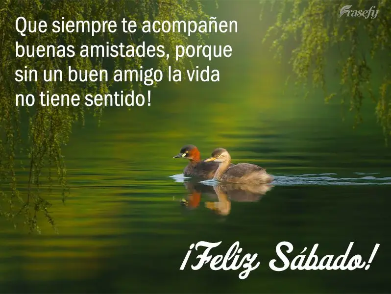 Que siempre te acompañen buenas amistades, porque sin un buen amigo la vida no tiene sentido! ¡Feliz Sábado!