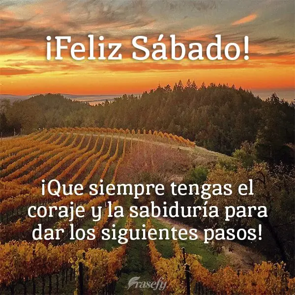 ¡Que siempre tengas el coraje y la sabiduría para dar los siguientes pasos!  ¡Feliz Sábado!