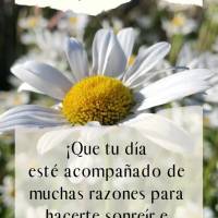 ¡Que tu día esté acompañado de muchas razones para hacerte sonreír e inspirar a las personas que te apoyan! ¡Feliz Sábado!