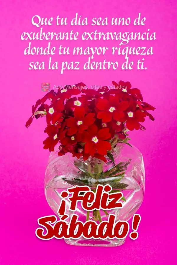 Que tu día sea uno de exuberante extravagancia donde tu mayor riqueza sea la paz dentro de ti. ¡Feliz Sábado!