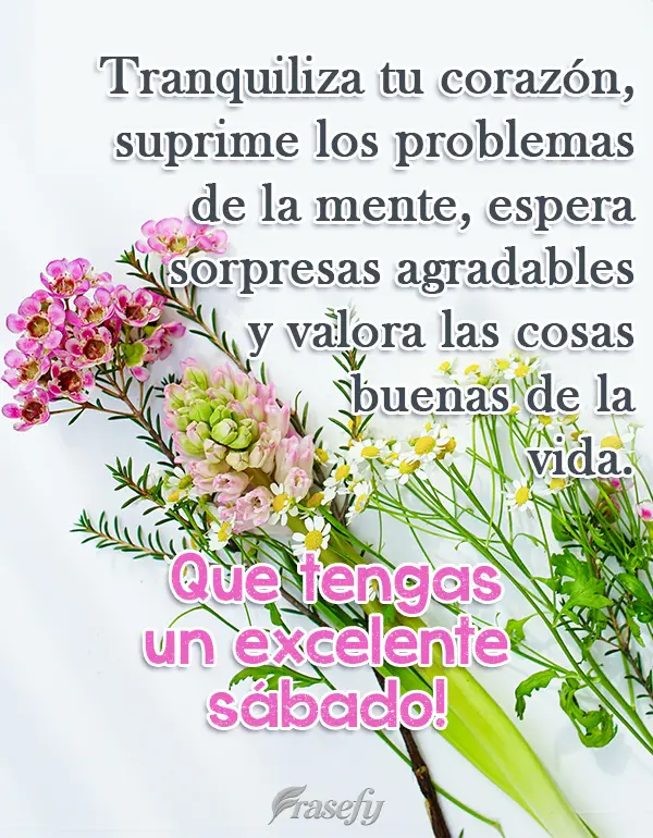Tranquiliza tu corazón, suprime los problemas de la mente, espera sorpresas agradables y valora las cosas buenas de la vida. ¡Que tengas un excelente s...