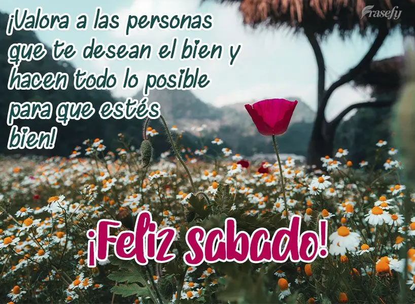 ¡Valora a las personas que te desean el bien y hacen todo lo posible para que estés bien! ¡Feliz sábado!