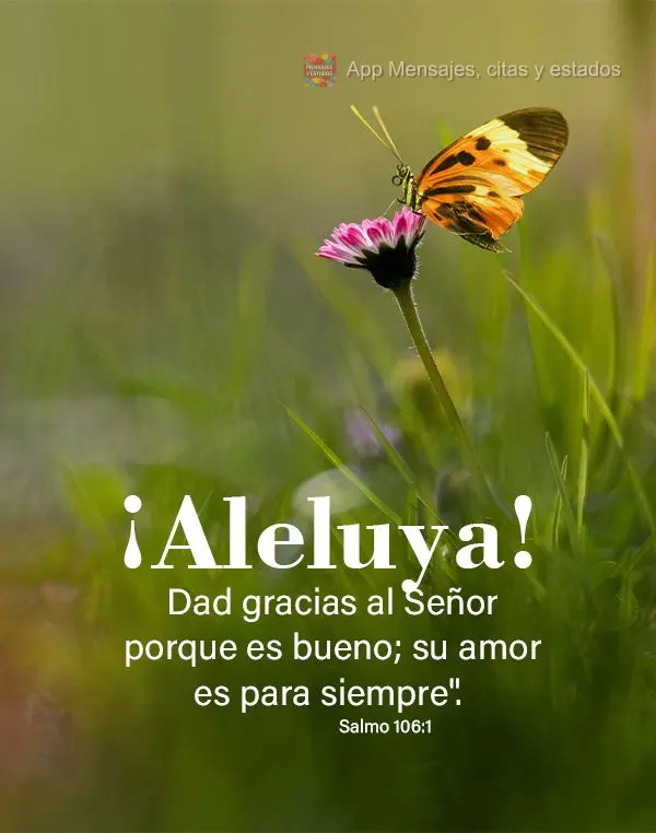 "¡Aleluya! Dad gracias al Señor porque es bueno; su amor es para siempre". Salmos 106.1