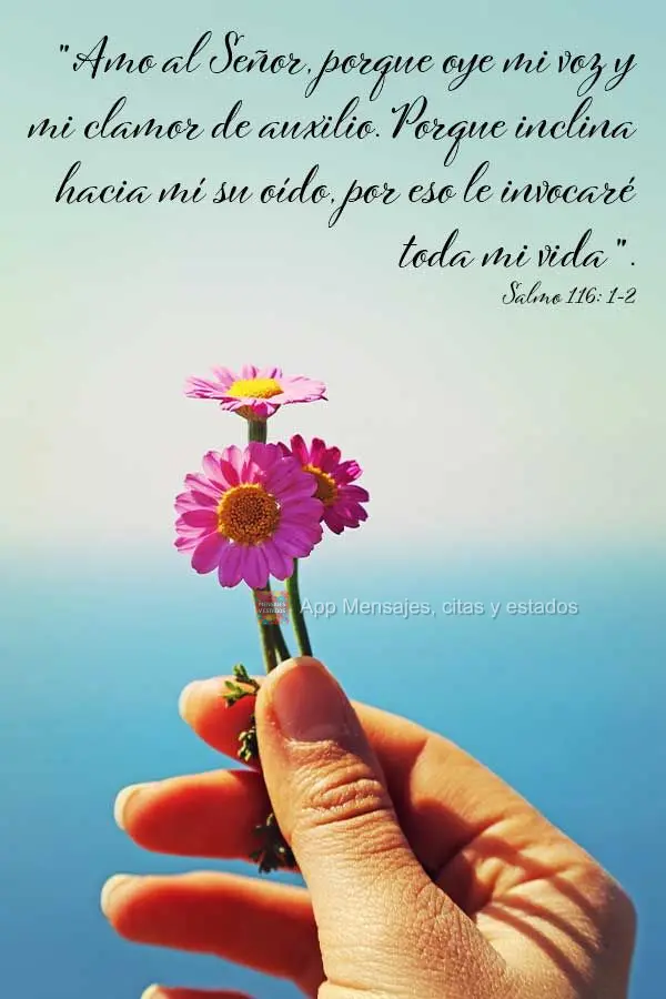"Amo al Señor, porque oye mi voz y mi clamor de auxilio. Porque inclina hacia mí su oído, por eso le invocaré toda mi vida". Salmo 116:1-2
