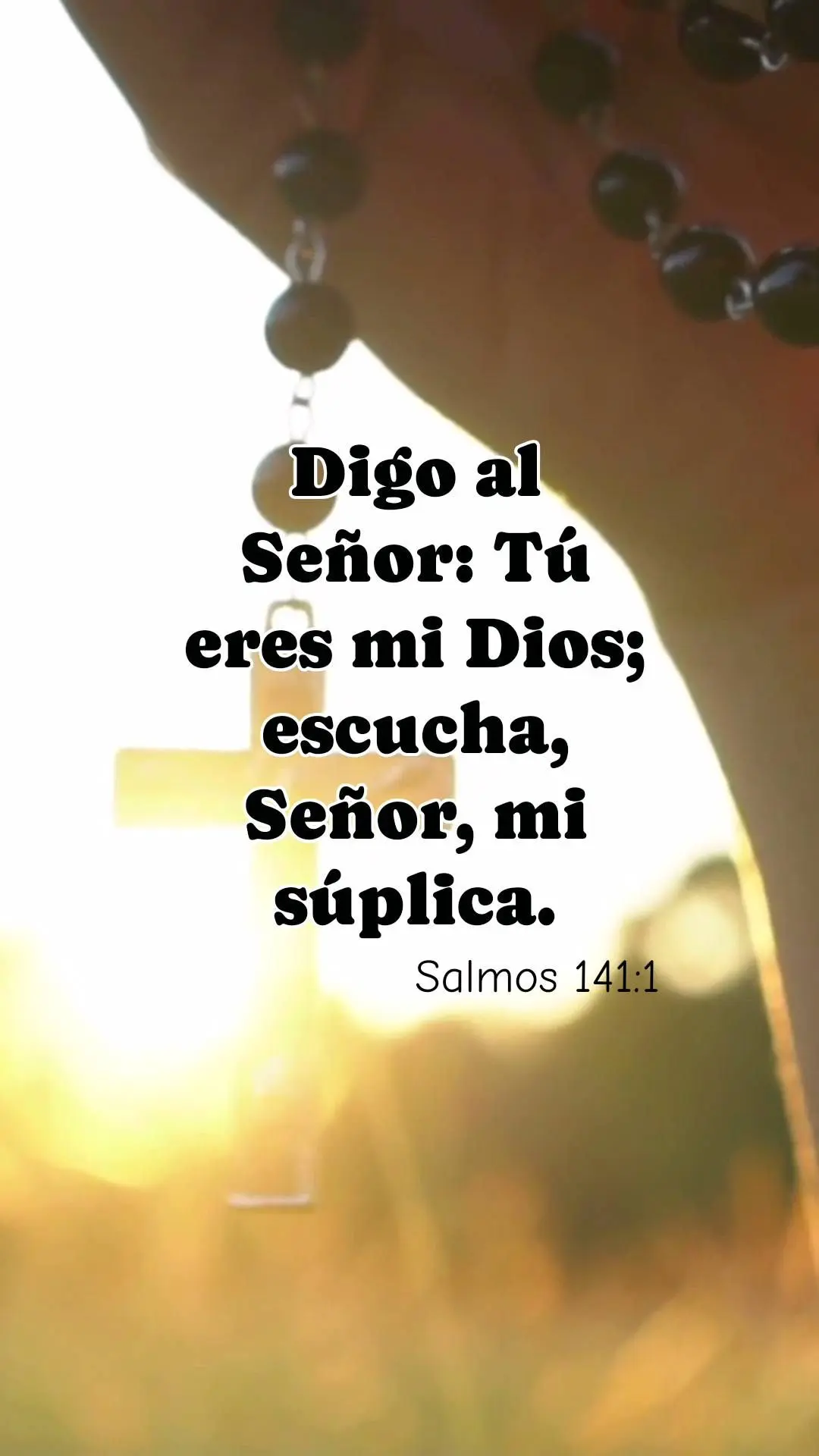Digo al Señor: Tú eres mi Dios; escucha, Señor, mi súplica. Salmos 141:1