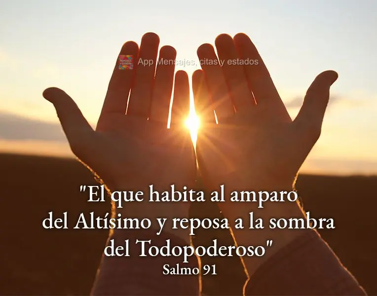 "El que habita al amparo del Altísimo y reposa a la sombra del Todopoderoso" Salmo 91