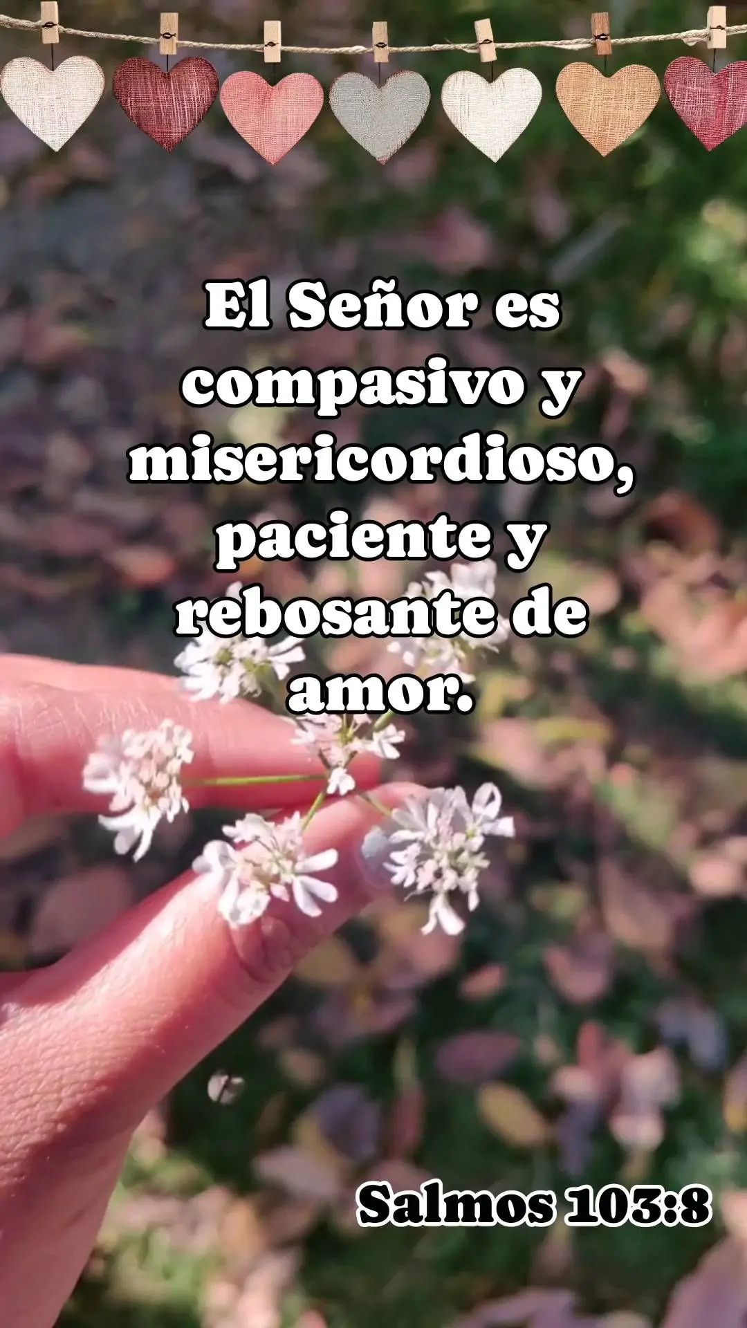 El Señor es compasivo y misericordioso, paciente y rebosante de amor. Salmos 103:8