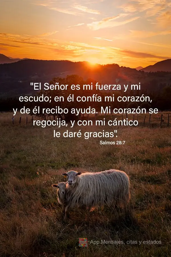 "El Señor es mi fuerza y ​​mi escudo; en él confía mi corazón, y de él recibo ayuda. Mi corazón se regocija, y con mi cántico le daré gracias...