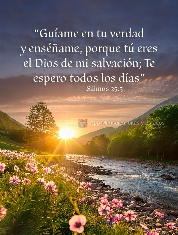 “Guíame en tu verdad y enséñame, porque tú eres el Dios de mi salvación; Te espero todos los días”. Salmos 25:5