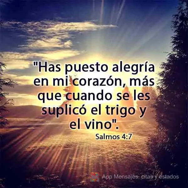 "Has puesto alegría en mi corazón, más que cuando se les suplicó el trigo y el vino". Salmos 4:7