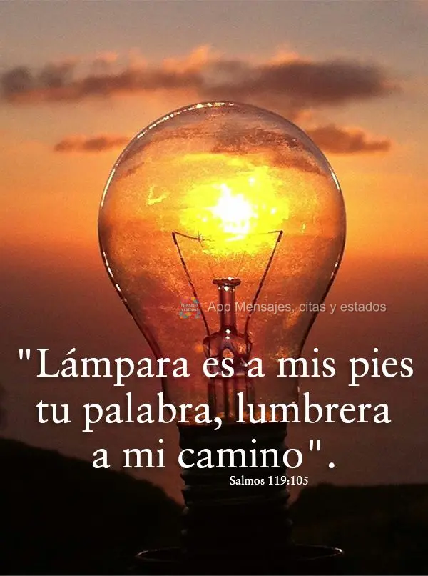 "Lámpara es a mis pies tu palabra, lumbrera a mi camino". Salmos 119:105