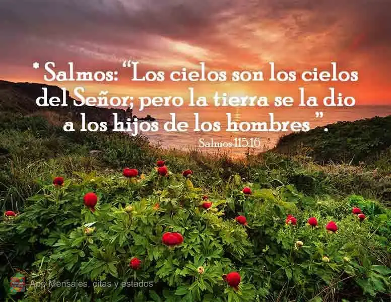 * Salmos: “Los cielos son los cielos del Señor; pero la tierra se la dio a los hijos de los hombres ”. Salmos 115:16